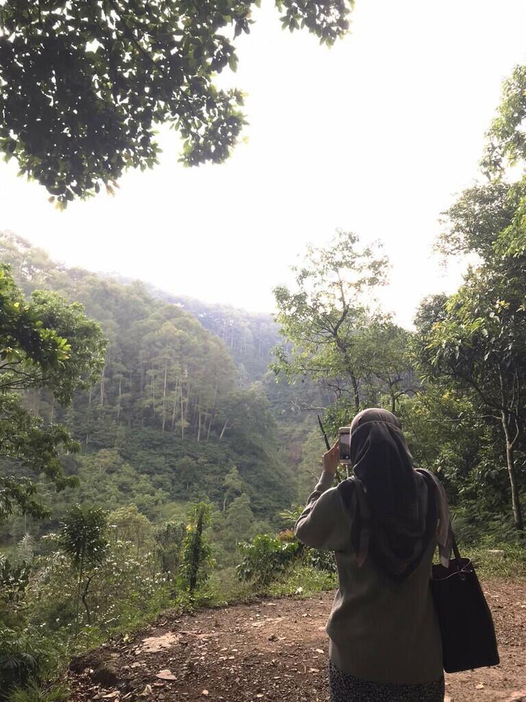 Sejuknya Alam Taman Hutan Djuanda Dan Perjalanan Menuju Goa Jepang
