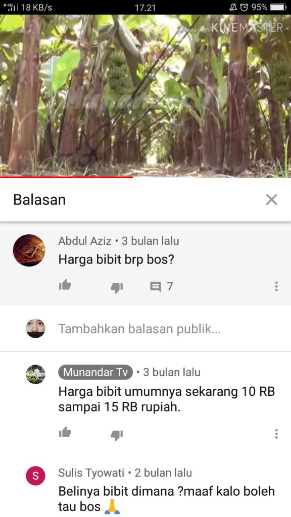 &#91;COC Reg. Jember&#93; Petani Jember Juga Mulai Menamam Pisang, Kok Bisa? 