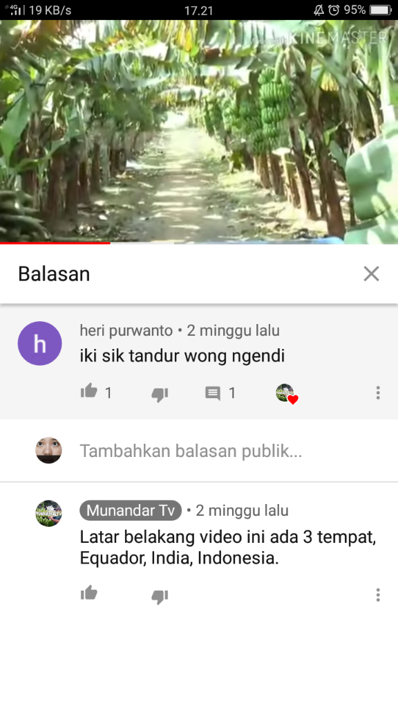 &#91;COC Reg. Jember&#93; Petani Jember Juga Mulai Menamam Pisang, Kok Bisa? 
