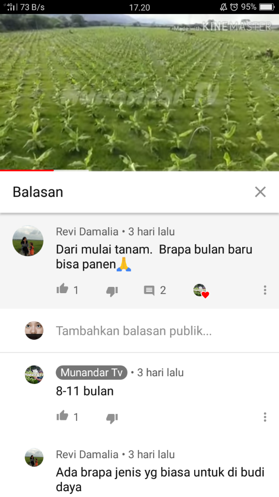 &#91;COC Reg. Jember&#93; Petani Jember Juga Mulai Menamam Pisang, Kok Bisa? 