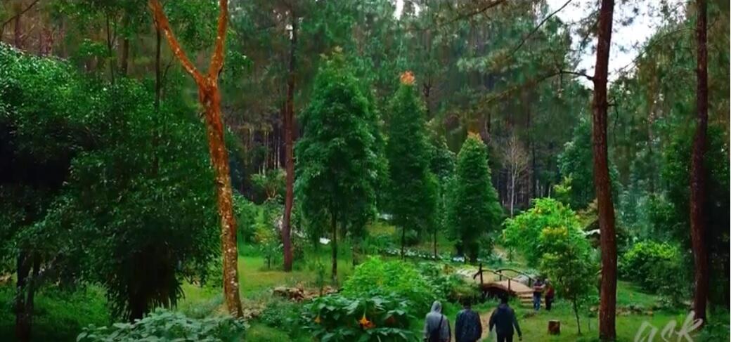 Perkenalkan Curug Sinoman, Wisata Terbaik di Kabupaten Banjarnegara.