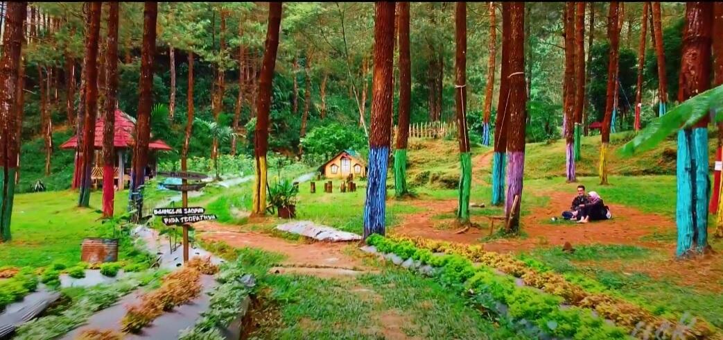 Perkenalkan Curug Sinoman, Wisata Terbaik di Kabupaten Banjarnegara.