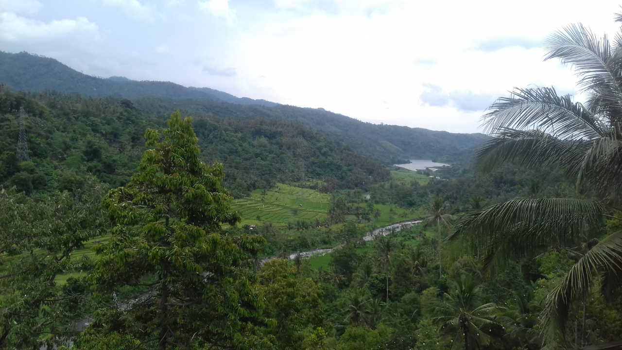 Pesona Sawah Terasering di Desa Kekeran Kabupaten Buleleng Bali