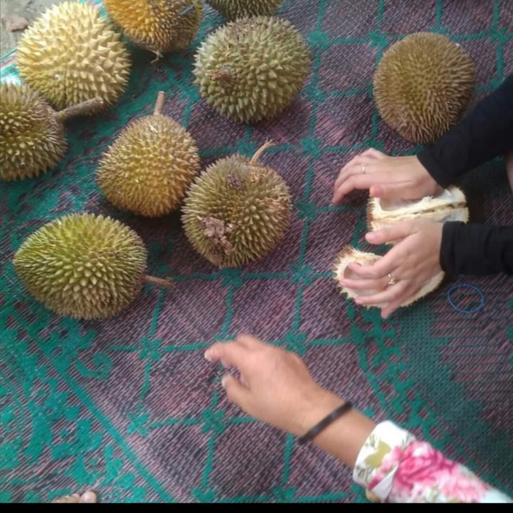 Setres Nggak Bisa Berpergian Jauh, Banyak Pilihan Wisata Dekat Rumah!