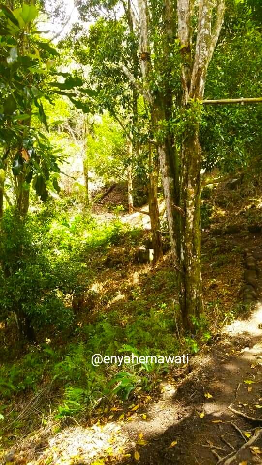 Menikmati Cantiknya Kota Tidore Kepulauan di Provinsi Maluku Utara