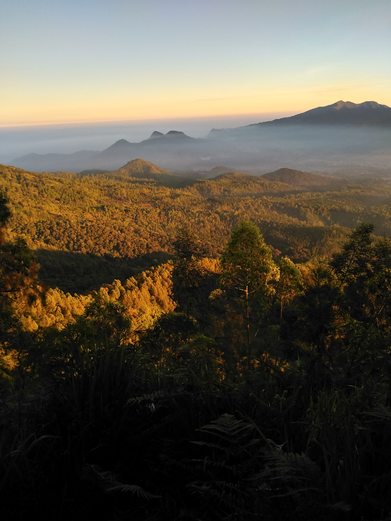 Gunung Sepikul Sejuk Tenang Yang Belum Terjamah Manusia