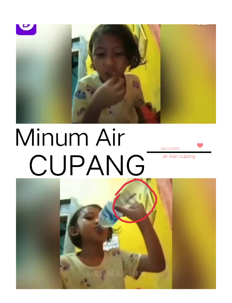 Saking Asyiknya Makan Hingga Tak Sadar Minum Air Ikan Cupang! Rasanya? Ah Mantap