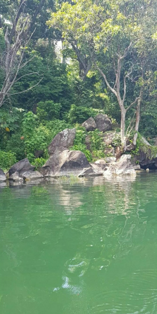 Tanjung Mutiara, Wisata Indah di Tepian Danau Singkarak