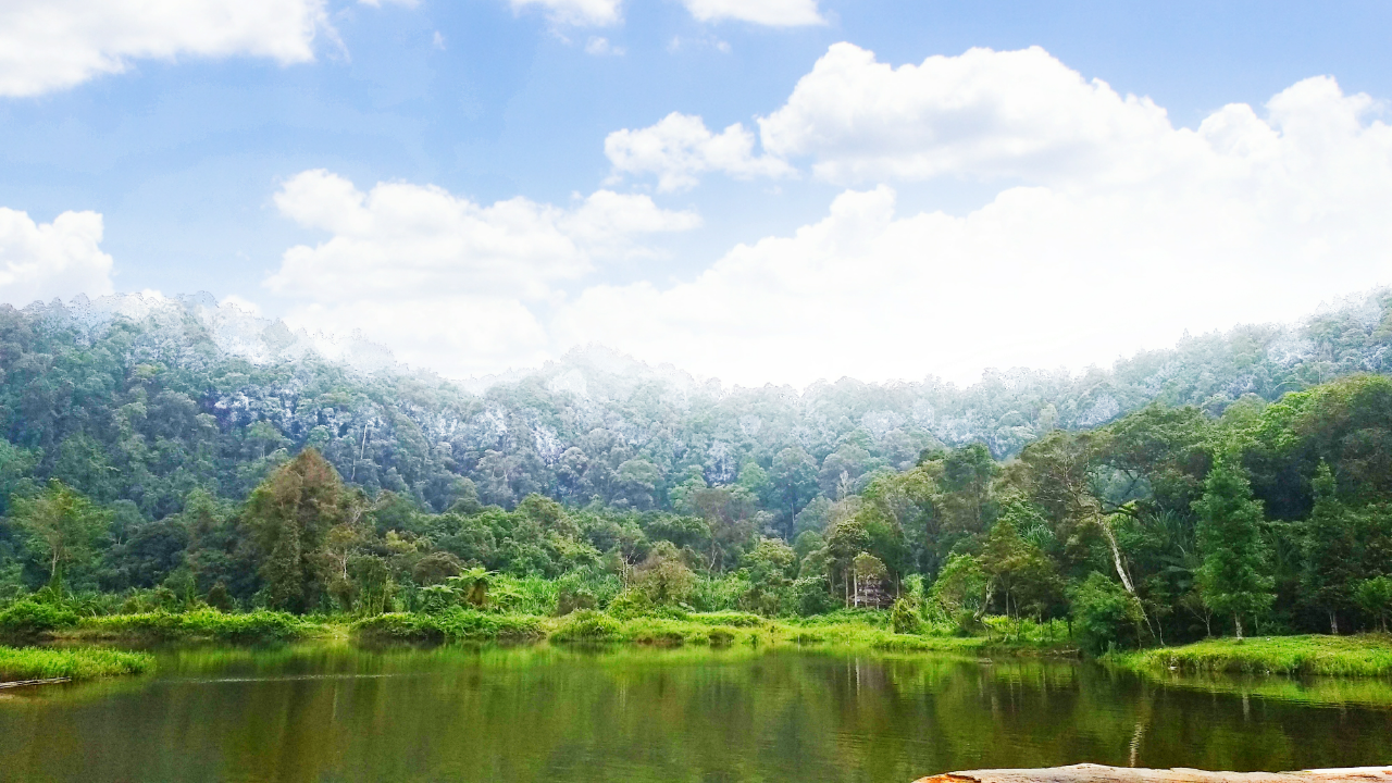 Situ Gunung Suspension Bridge Menyimpan Sejuta Pesona Alam Menakjubkan! Wajib Datang!