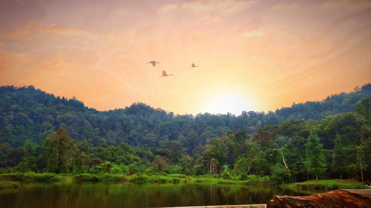 Situ Gunung Suspension Bridge Menyimpan Sejuta Pesona Alam Menakjubkan! Wajib Datang!