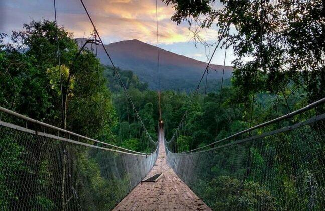 Situ Gunung Suspension Bridge Menyimpan Sejuta Pesona Alam Menakjubkan! Wajib Datang!