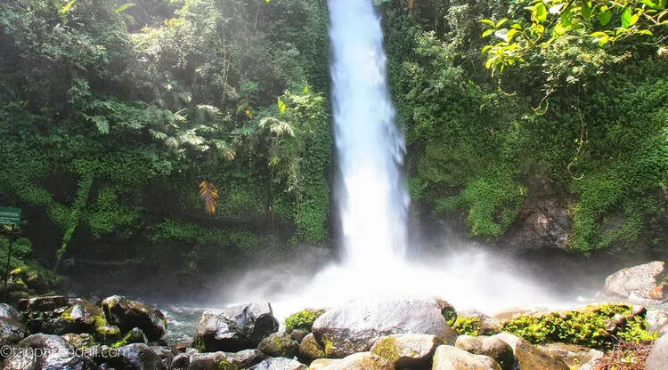 Situ Gunung Suspension Bridge Menyimpan Sejuta Pesona Alam Menakjubkan! Wajib Datang!