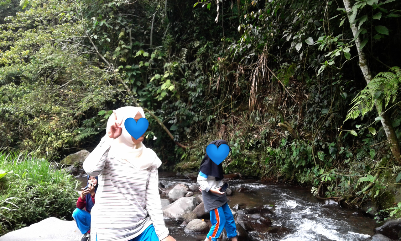 Pondok Halimun Destinasi Wisata Andalan Penenang Pikiran