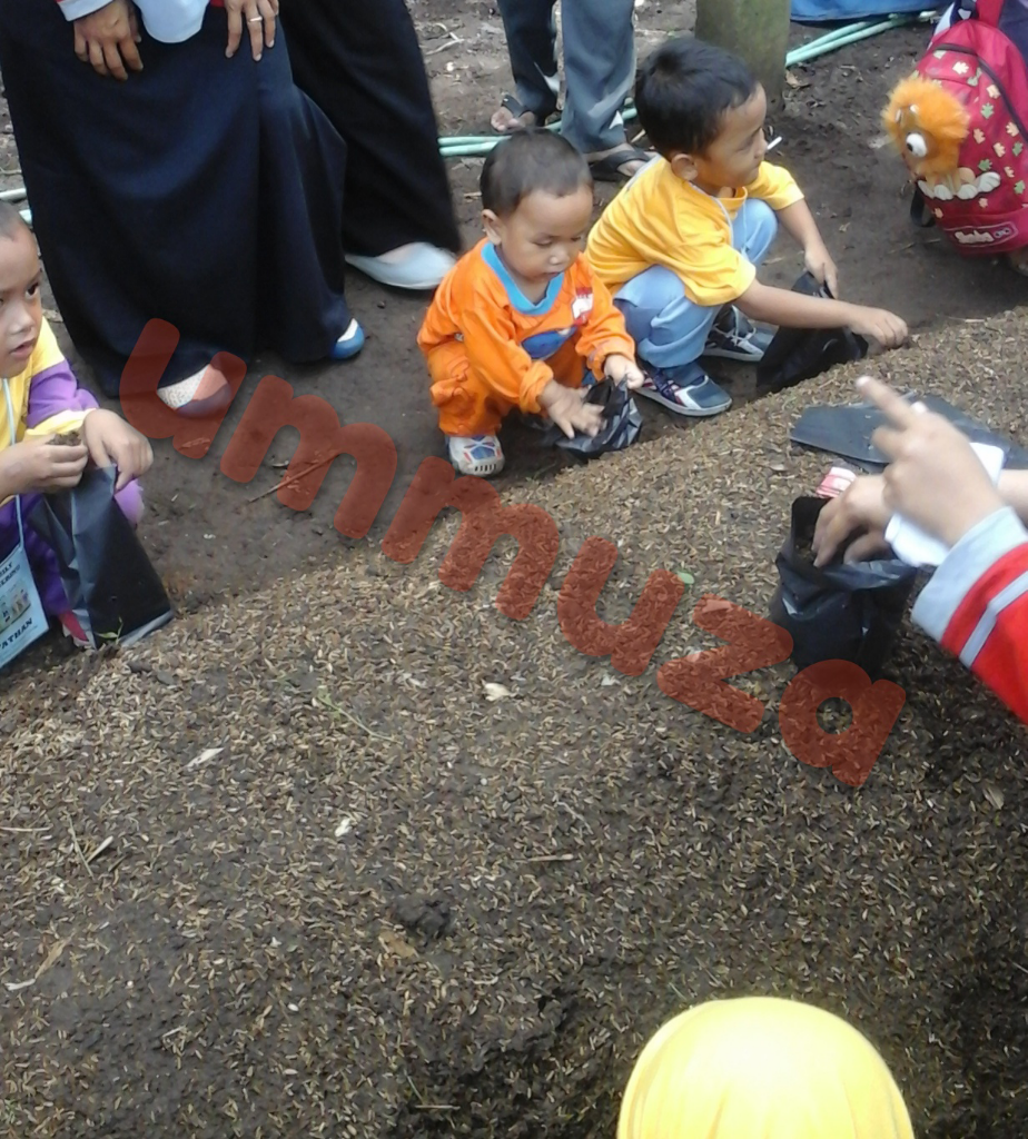Keseruan Belajar Dan Bermain Di KSO