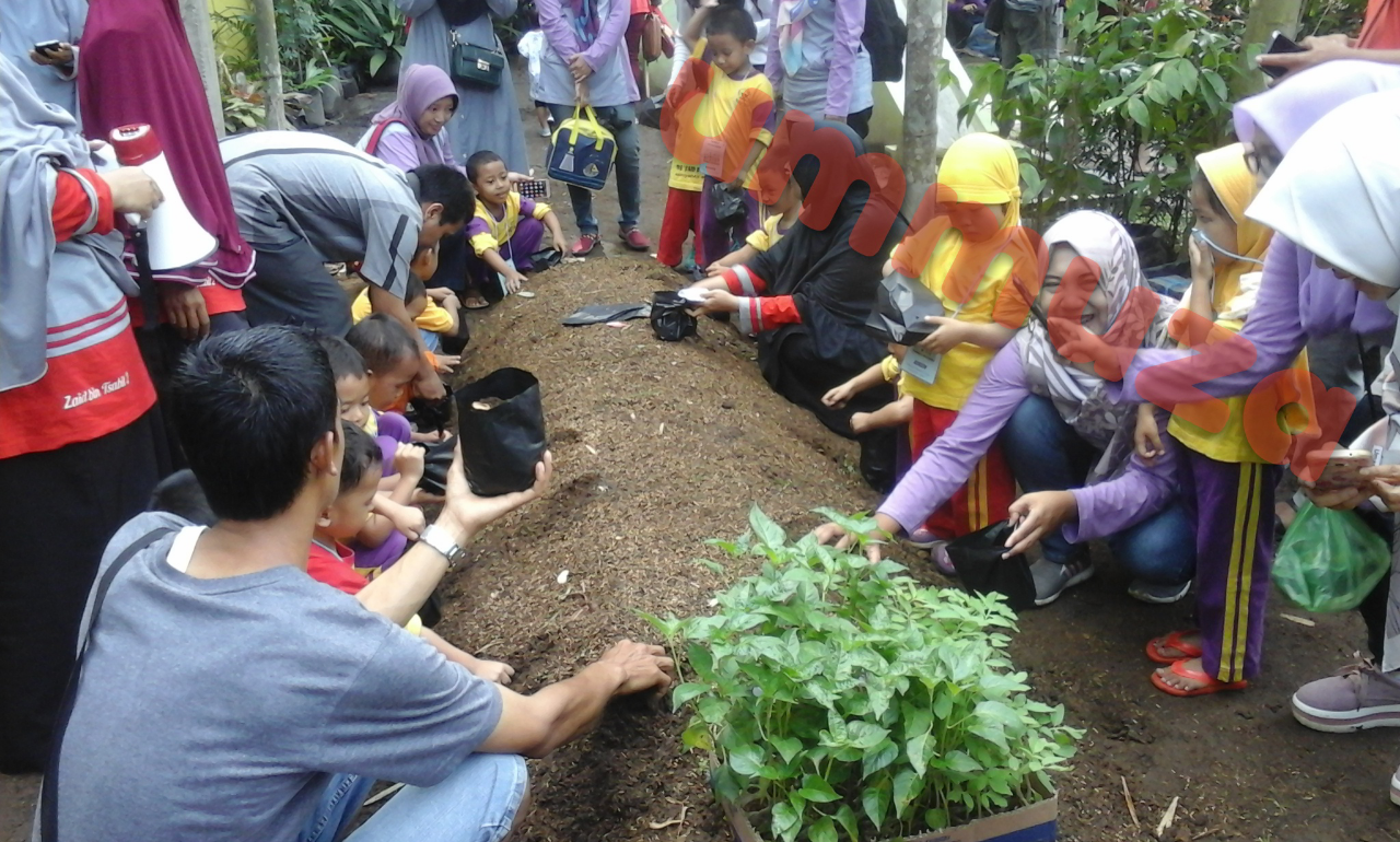 Keseruan Belajar Dan Bermain Di KSO
