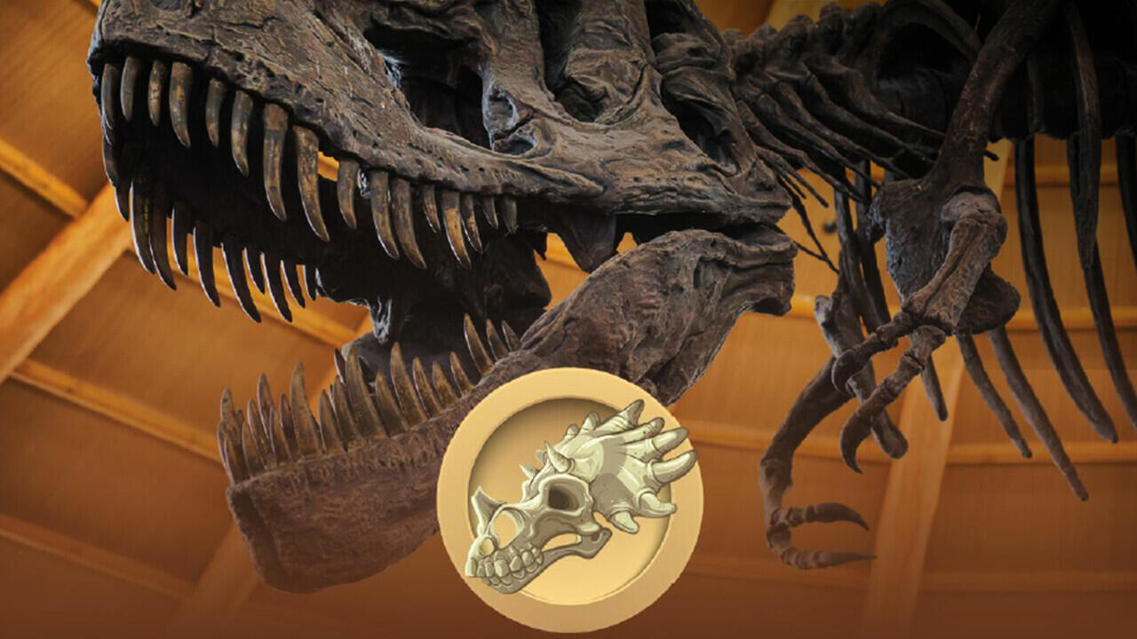 Virtual Tour Museum, Solusi Terbaik Bagi Museum di Saat Pandemi