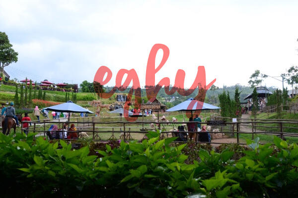 &#91;COC Travellers&#93; The Ranch Puncak: Spot Instagramable Sebanyak Memory Camera!