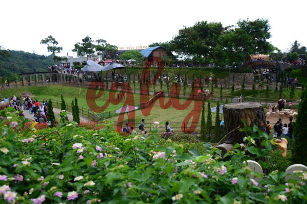 &#91;COC Travellers&#93; The Ranch Puncak: Spot Instagramable Sebanyak Memory Camera!