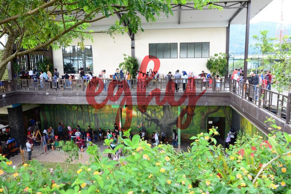 &#91;COC Travellers&#93; The Ranch Puncak: Spot Instagramable Sebanyak Memory Camera!