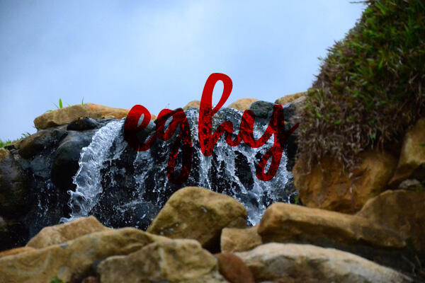 &#91;COC Travellers&#93; The Ranch Puncak: Spot Instagramable Sebanyak Memory Camera!