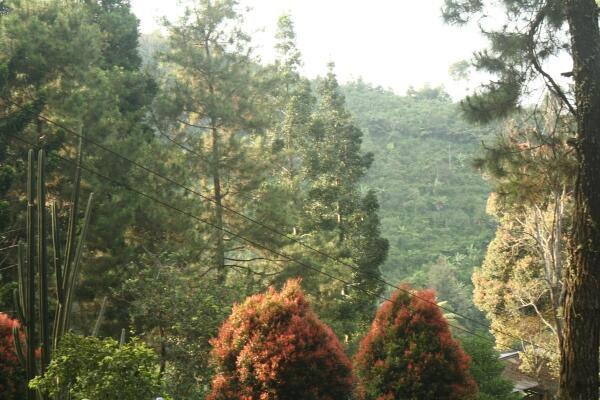 &#91;COC Travellers&#93; Camping Tahun Baru sebelum Pandemi di Eagle Hill Camp - Puncak