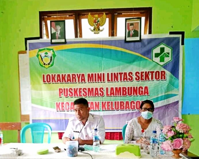 Lokakarya Mini Linsek Puskesmas Lambunga Kecamatan Kelubagolit