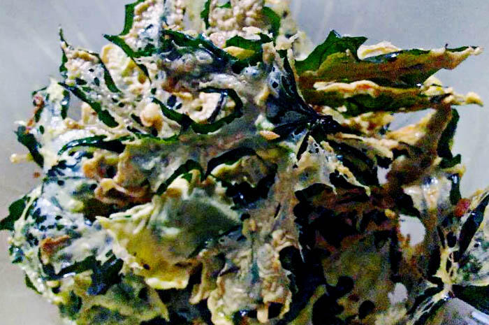 9 Resep Makanan dengan Bahan Daun Pepaya Jepang