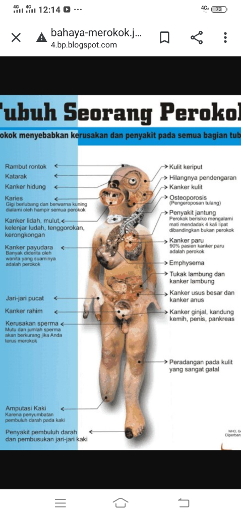 Anda Impotensi? Cek Kesehatan, Bisa Jadi Karena Kebanyakan Merokok, Kok Bisa Sih!?