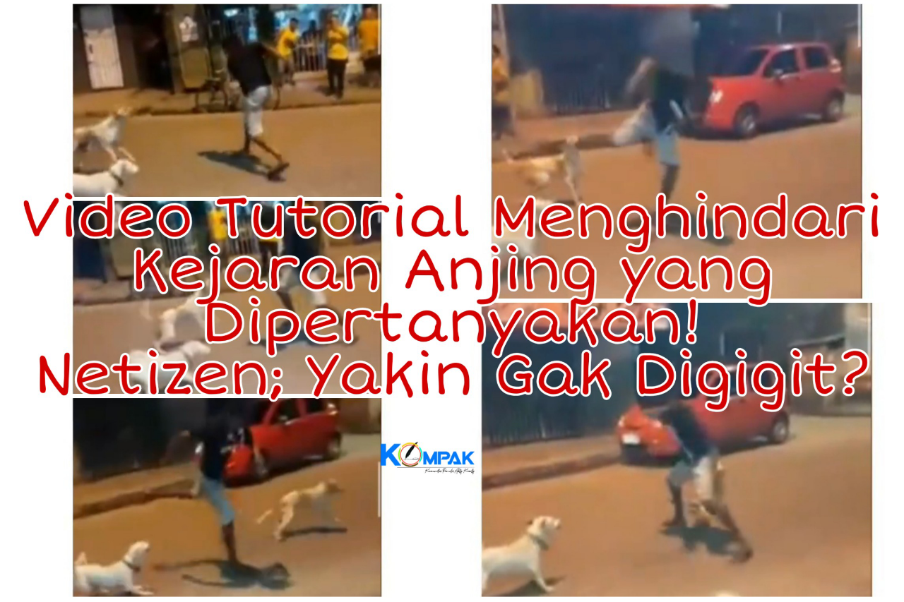 Video Tutorial Menghindari Kejaran Anjing yang Dipertanyakan! Netizen; Yakin Aman?