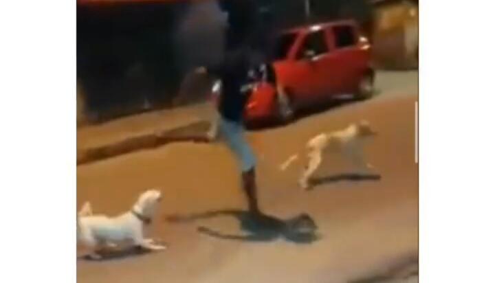 Video Tutorial Menghindari Kejaran Anjing yang Dipertanyakan! Netizen; Yakin Aman?