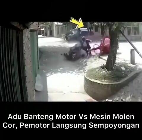 Viral, Pemotor Adu Banteng Dengan Mesin Semen, Pemotor Sempoyongan