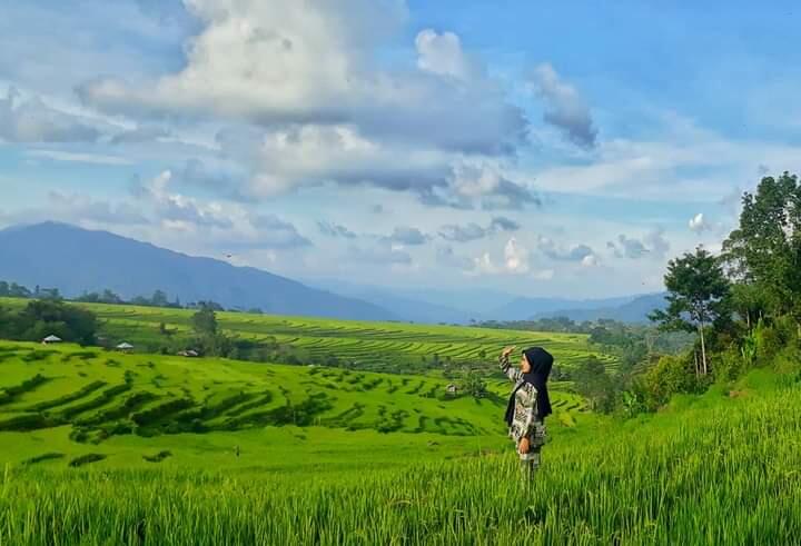 &#91;COC Travellers&#93; Kampung Galung, Wisata Sawah Di Barania Ini Dijamin Manjain Mata!