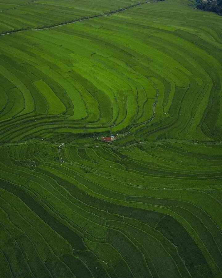 &#91;COC Travellers&#93; Kampung Galung, Wisata Sawah Di Barania Ini Dijamin Manjain Mata!
