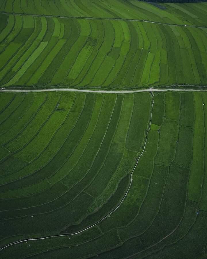 &#91;COC Travellers&#93; Kampung Galung, Wisata Sawah Di Barania Ini Dijamin Manjain Mata!