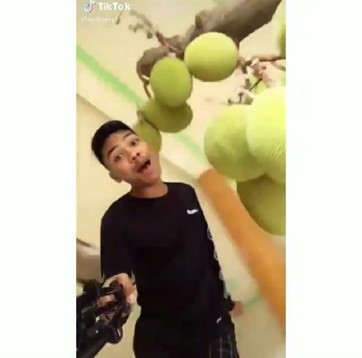 Unik! Bukan di Halaman Atau Kebun, Pohon Nangka ini Dibiarkan Tumbuh di Dalam Rumah!