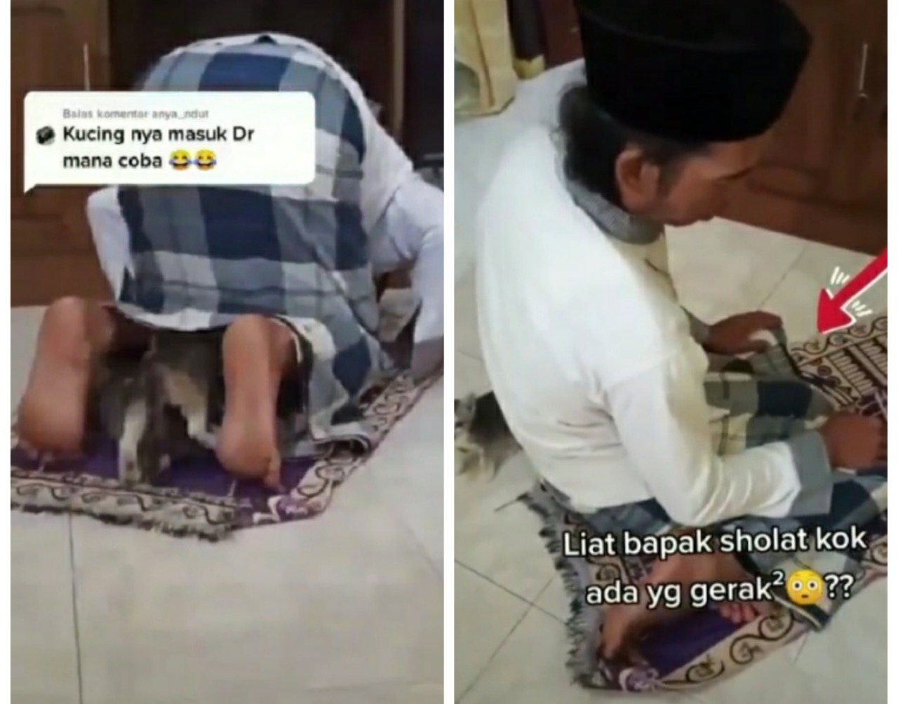 Viral, Kucing Menyelinap ke Dalam Sarung Bapak yang Lagi Salat Bikin Warganet Ngakak!