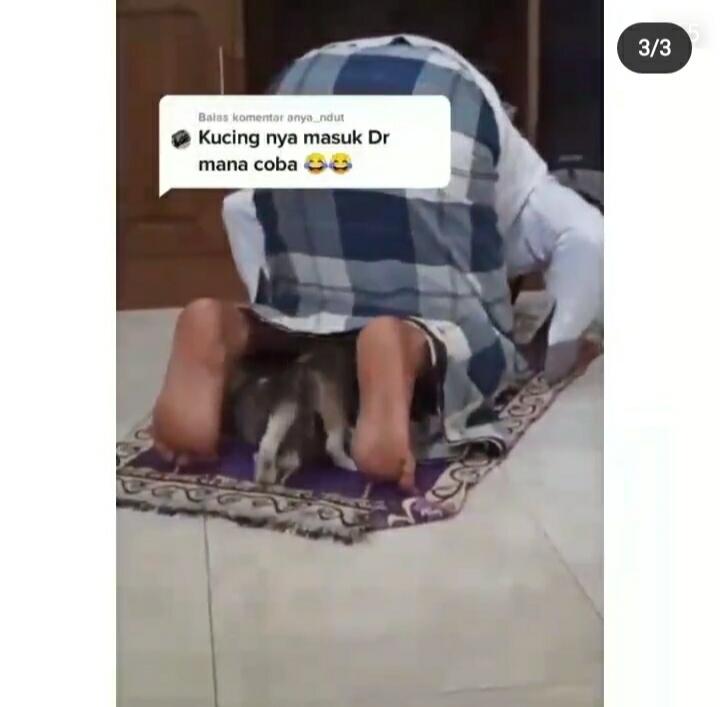 Viral, Kucing Menyelinap ke Dalam Sarung Bapak yang Lagi Salat Bikin Warganet Ngakak!