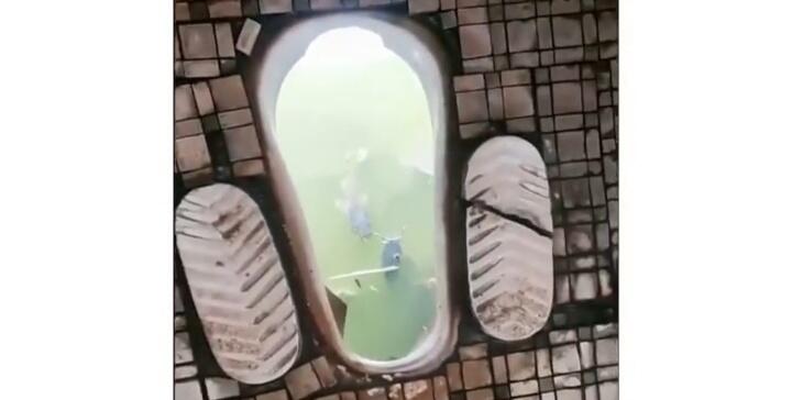 Heboh, Video TikTok Sebuah WC Terhubung dengan Kolam Ikan Lele! Netizen; Pantes Gurih