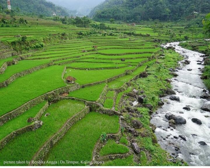 &#91;COC Traveller&#93; Desa Tempur Jepara, Destinasi Wisata Tersembunyi yang Diapit 7 Gunung