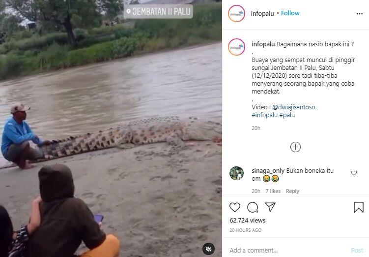 Viral Warga Tonton Buaya Besar dari Dekat, Sampai Ada yang Mau Diterkam