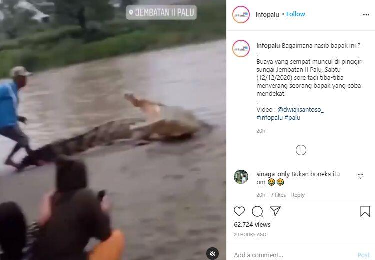 Viral Warga Tonton Buaya Besar dari Dekat, Sampai Ada yang Mau Diterkam