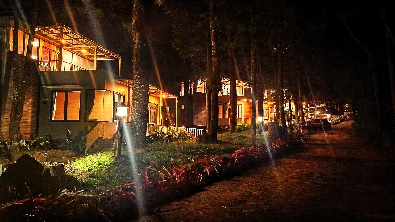 Taman Safari Bogor Meriahkan Malam Pergantian Tahun dengan Circus Street Carnival