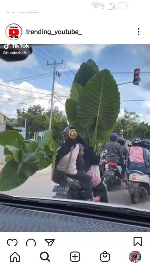 Kelakuan Emak-emak Bawa Tanaman Hias Raksasa Pakai Motor, Menyita Perhatian Netizen