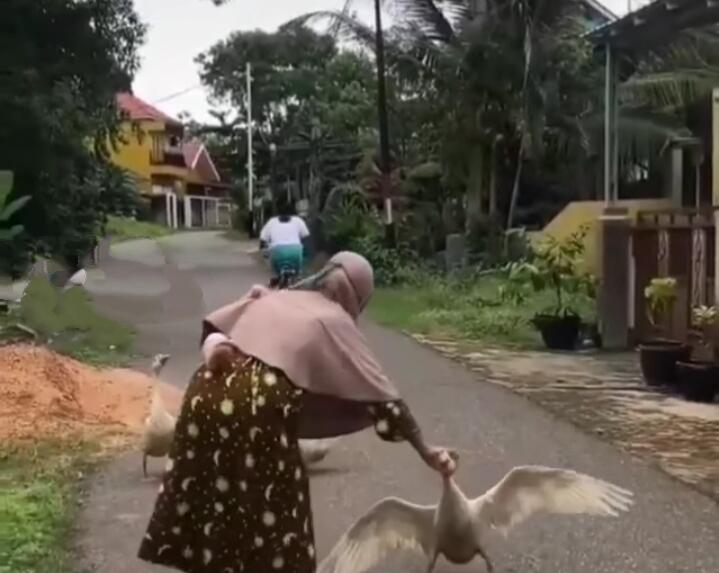 Gokil! Emak-emak Ini Tanpa Rasa Takut Cekik Leher Angsa, Ada Masalah Apa Sih Mak?