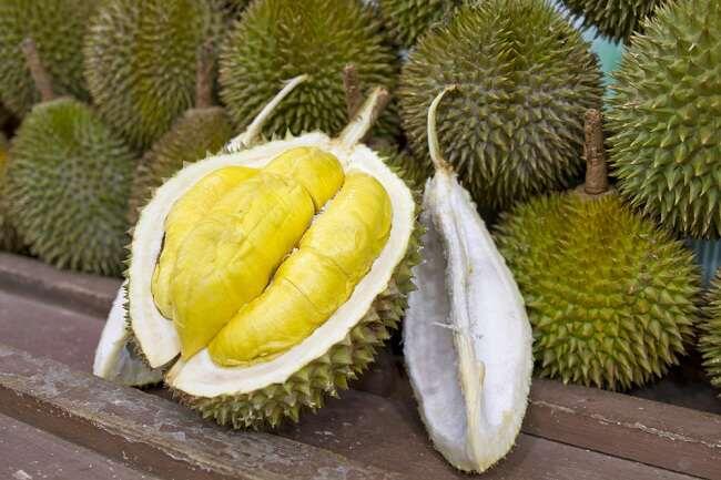 &quot;Bagaikan Mendapat Durian Runtuh&quot;, Antara Peribahasa Dan Kenyataan