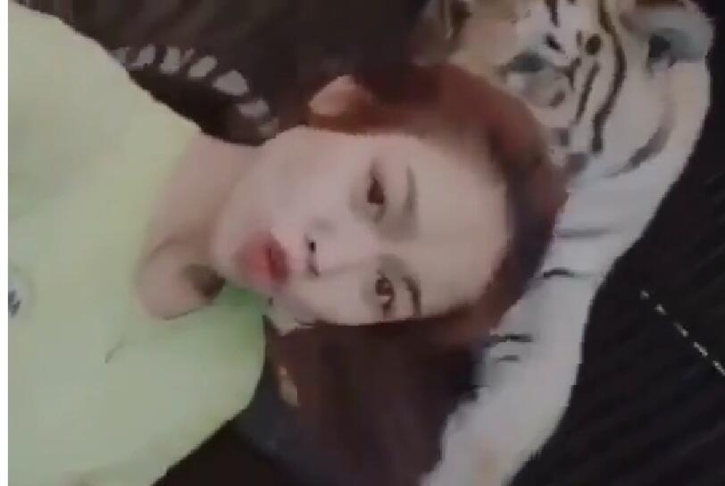 Ngeri, Viral Seorang Wanita Muda Bercumbu Mesra di Tik Tok dengan Seekor Harimau! Ha?