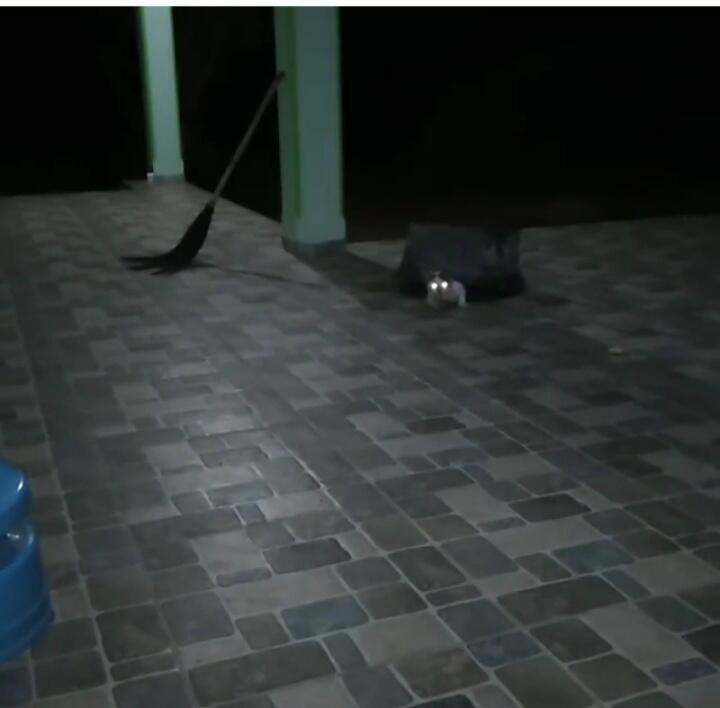 Bikin Merinding, Penampakan Ember Berjalan Di Teras Rumah! Hantu?