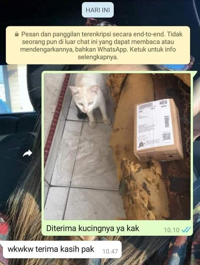 Beberapa Chat Antara Penjual & Pembeli Online yang Bikin Ngakak Parah
