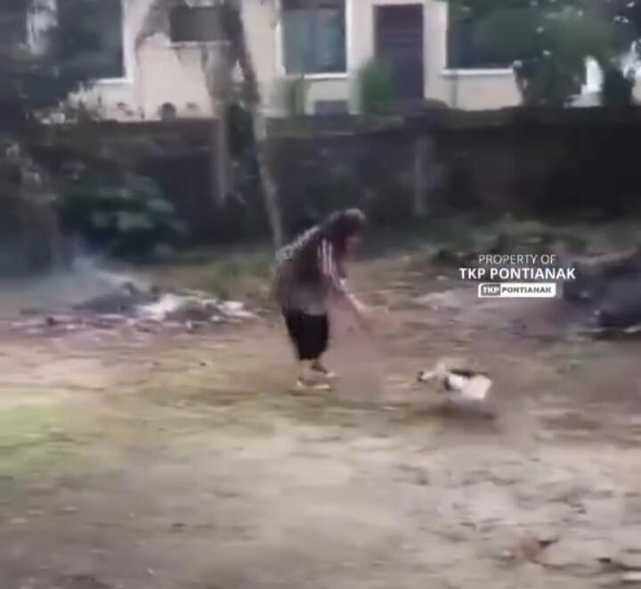 Dikejar 'Preman Kampung' Paling Berbahaya, Perlawanan Wanita Ini Bikin Dilema!