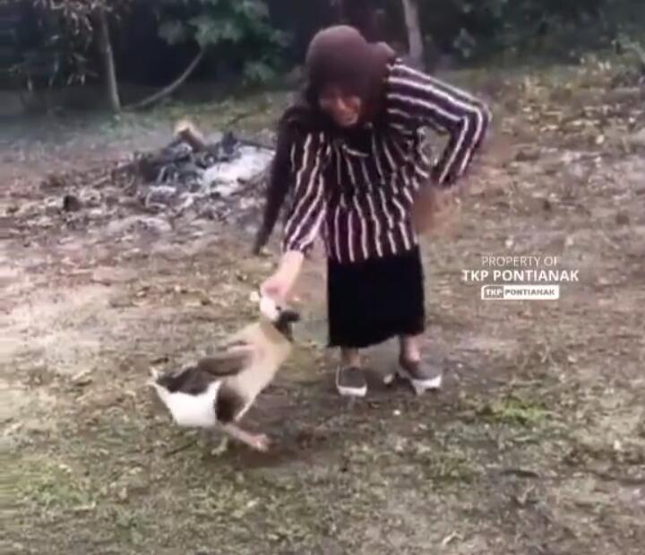 Dikejar 'Preman Kampung' Paling Berbahaya, Perlawanan Wanita Ini Bikin Dilema!